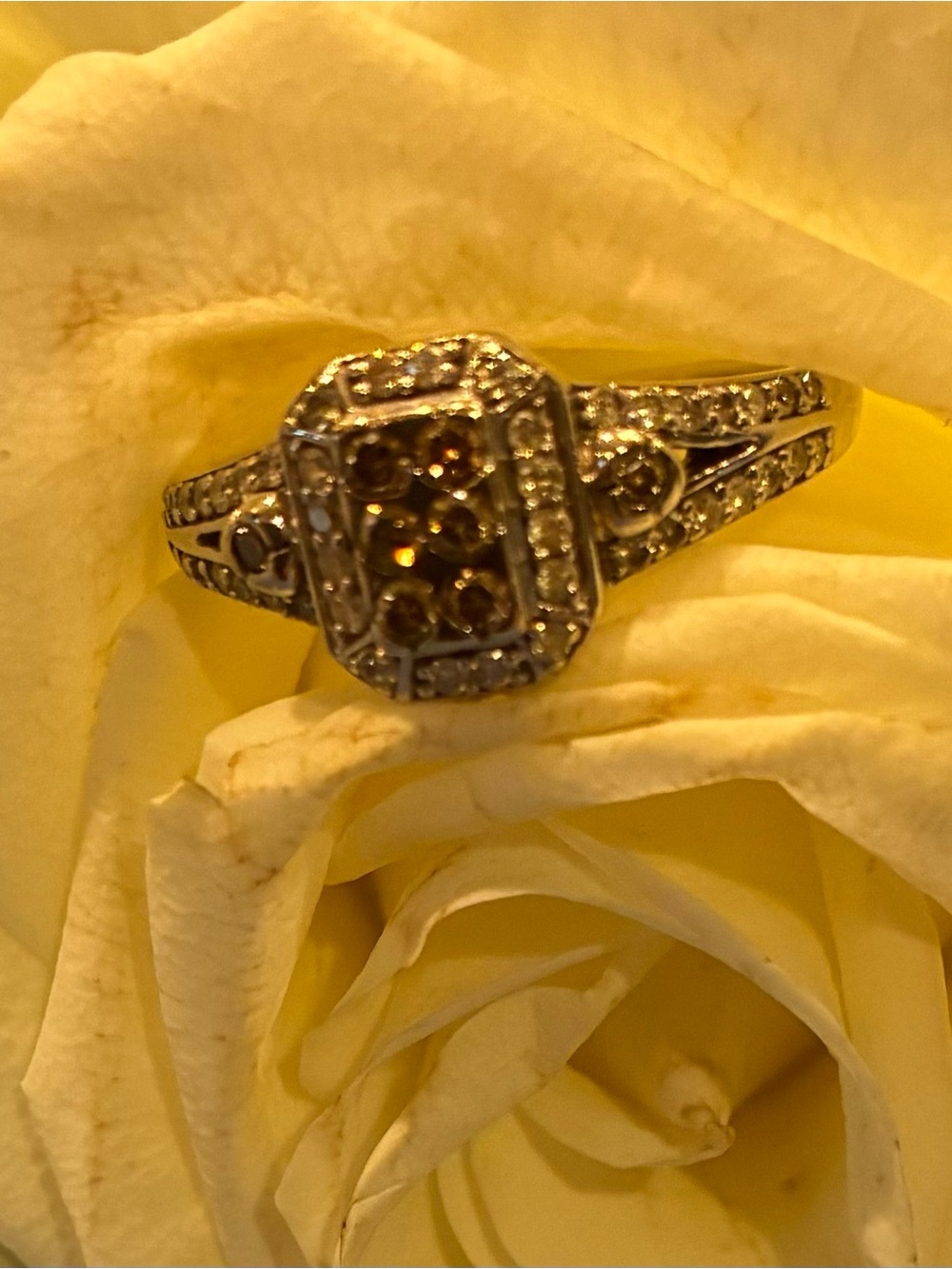 Chocolate Diamond Ring in 14Karat White Gold Size 6